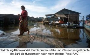 klimawandel