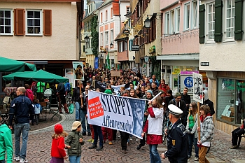 Primatenversuche Tübingen