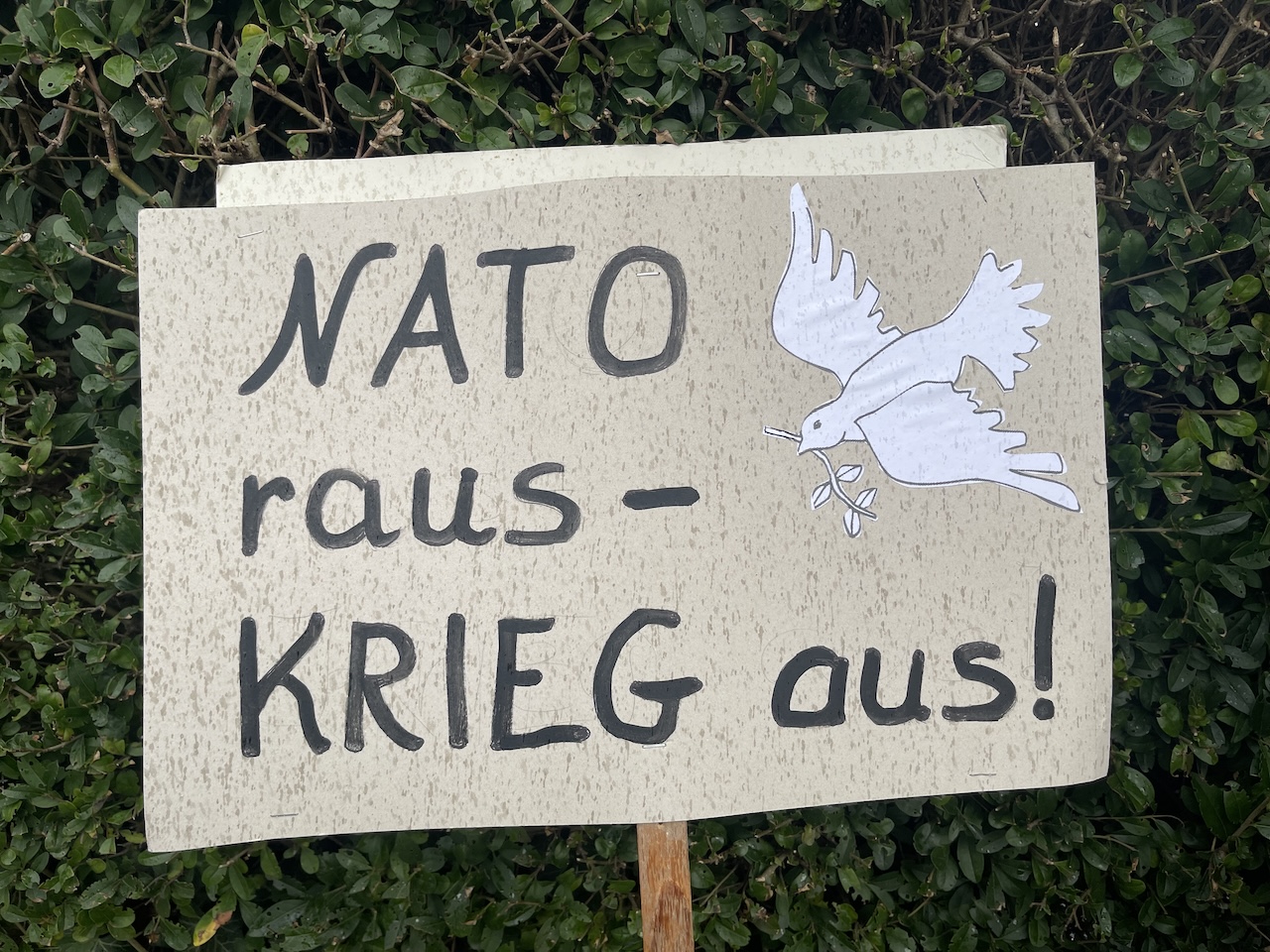 Nachdenken über den Ukraine-Krieg unerwünscht?